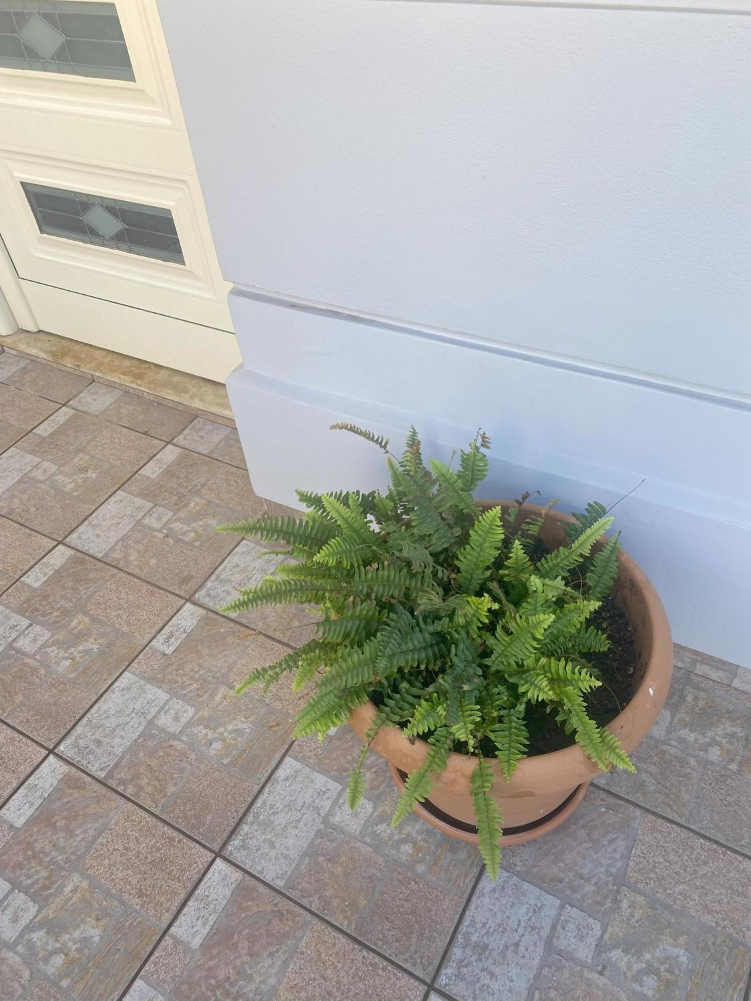 New Unique Apartment In Heraklion Екстериор снимка