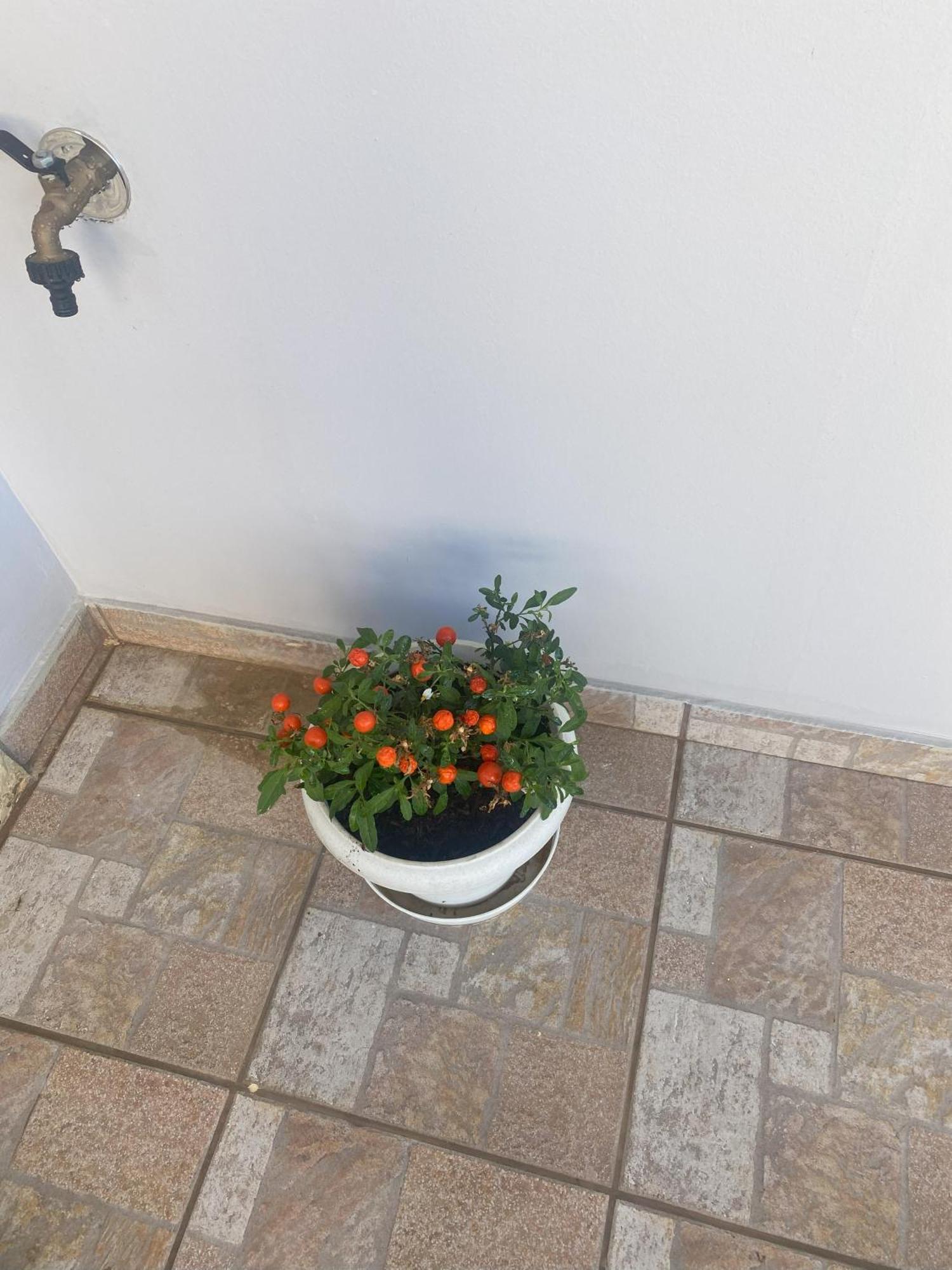 New Unique Apartment In Heraklion Екстериор снимка