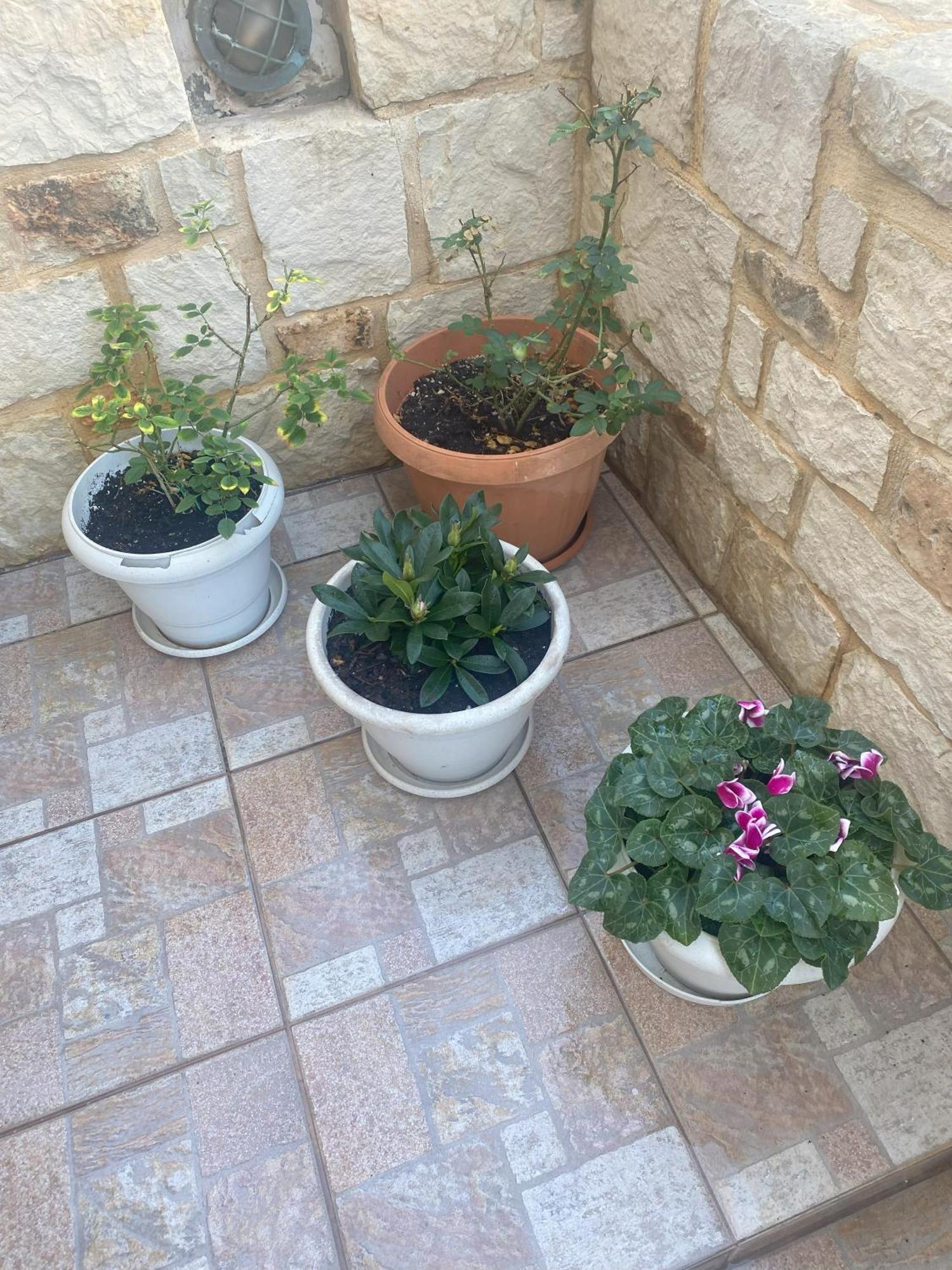 New Unique Apartment In Heraklion Екстериор снимка